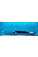 APB Skateshop APB File Deck 8.25 Short