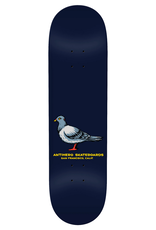 Anti Hero Team Pigeon 8.5"