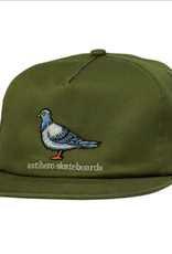 Anti Hero Lil Pigeon Snapback Safari Green