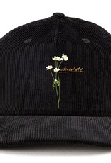 Chocolate Skateboards Stems 5-Panel Cord Black