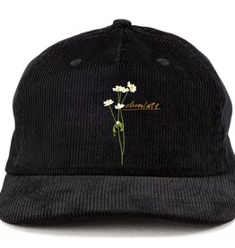 Chocolate Skateboards Stems 5-Panel Cord Black