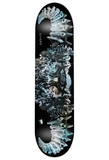 EDGLRD DMN 8.5