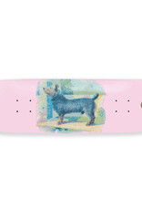 Pass~Port Hybrid Vigor Terrier 8.375