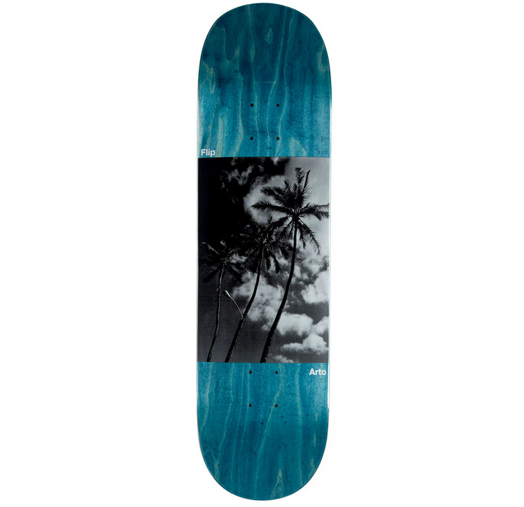 Flip City Ordinance Saari Assorted 8.5"