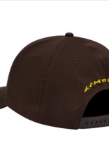 Limosine Whole Dog Hat Brown