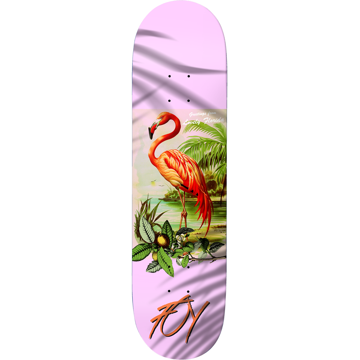 Deathwish Skateboards JF Flamingo 8.0"