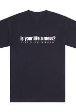 Fucking Awesome Is Your Life A Mess? Graphite