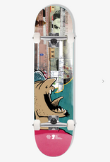 Push Andy Jenkins Guest BRF Complete 8.25"