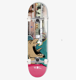 Push Andy Jenkins Guest BRF Complete 8.25"