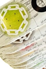 APB Skateshop APB Blueprint Deck 8.25 Short