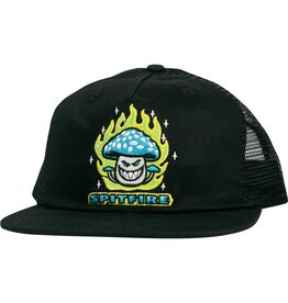 Spitfire Wheels Mushroom Bighead Snapback Black