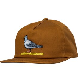 Anti Hero Lil Pigeon Snapback Brown/Yellow
