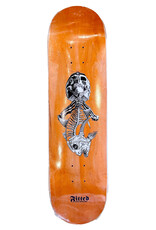 Fitted Fitted Skull & Ulua 8.25