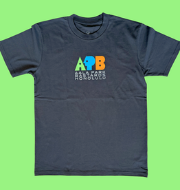 APB Skateshop APB Public Tee Coal