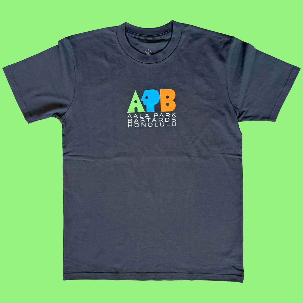 APB Skateshop APB Public Tee Coal