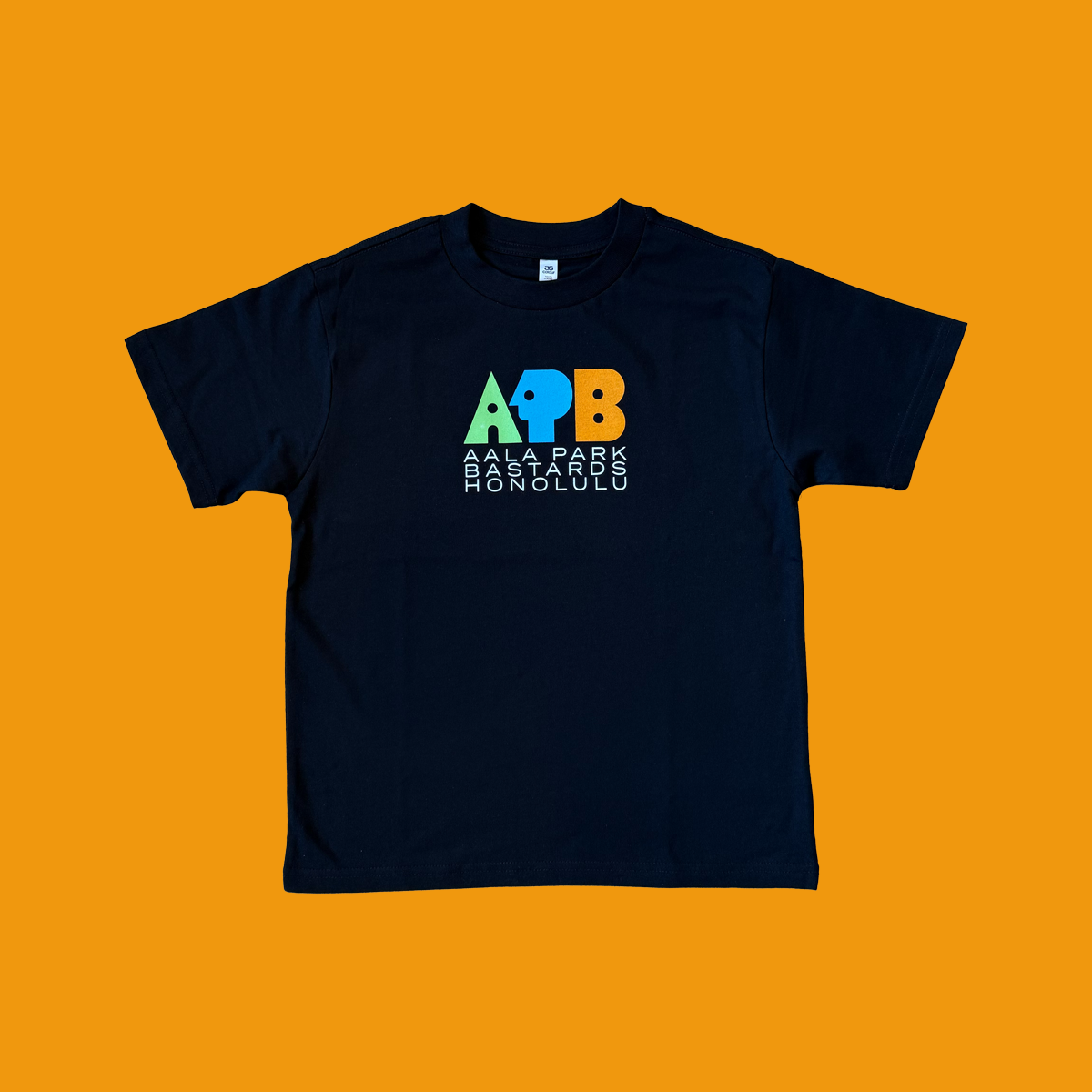 APB Skateshop APB Public Youth Tee Black