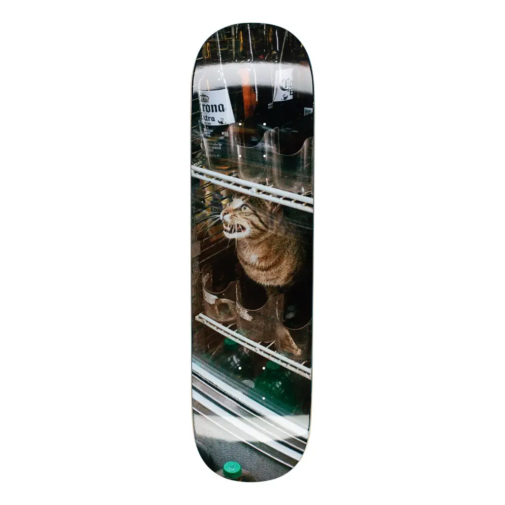 GX1000 Bodega Cat 8.25"