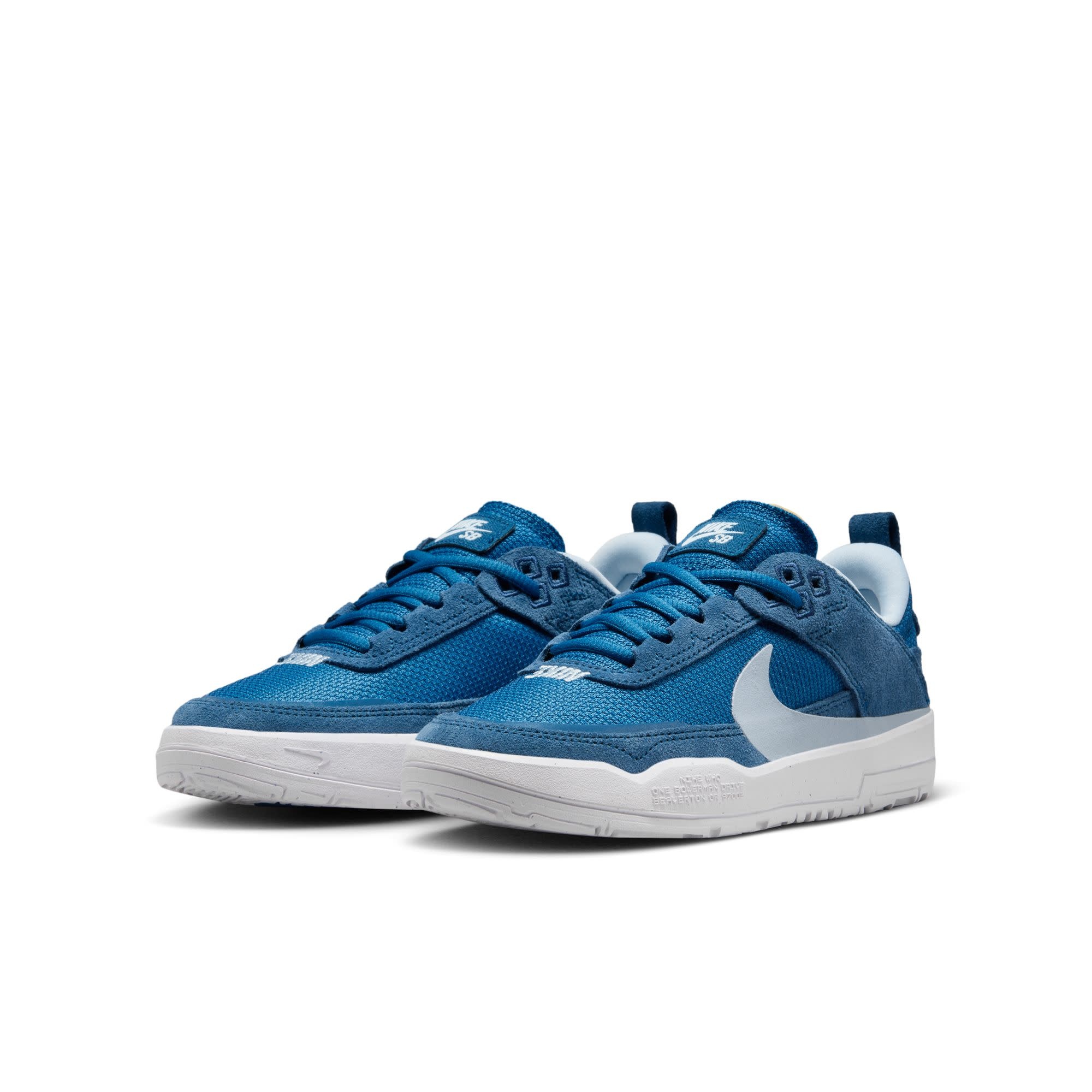 Nike SB Nike SB Day One (GS) Court Blue/Light Armory