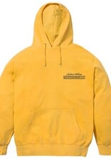 Sci-Fi Fantasy Endless Beauty Pullover Hood Gold