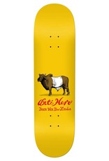 Anti Hero Daan Dutch Belted - 8.28"