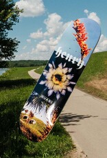 Quasi Skateboards Henry Engel 8.375"