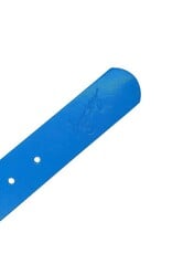 Loosey Blue Stud Finder