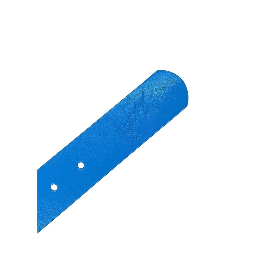 Loosey Blue Stud Finder