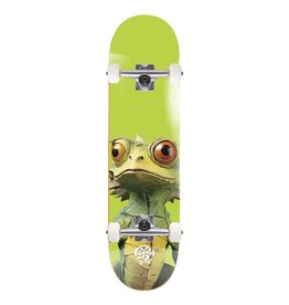 Push Lizard Big FP Complete 7.5" Lime