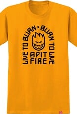 Spitfire Wheels Youth Live To Burn Gold/Black