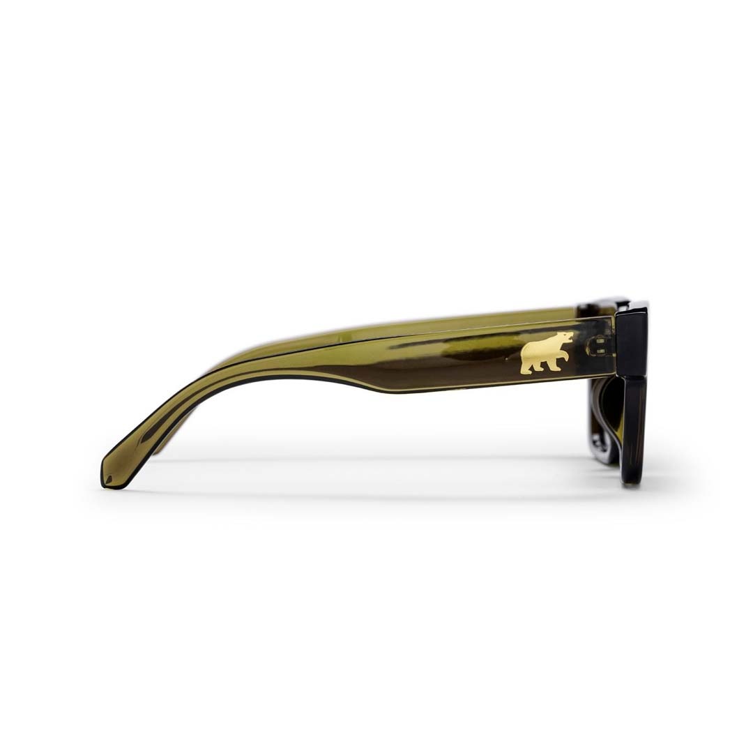 CHPO Brand Max Sunglasses Moss Green