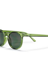 CHPO Brand Anchor Point Sunglasses Forest Green