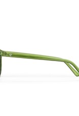CHPO Brand Anchor Point Sunglasses Forest Green