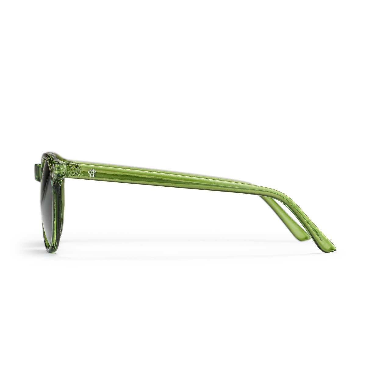 CHPO Brand Anchor Point Sunglasses Forest Green