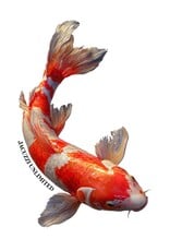 Jacuzzi Unlimited Koi Sticker
