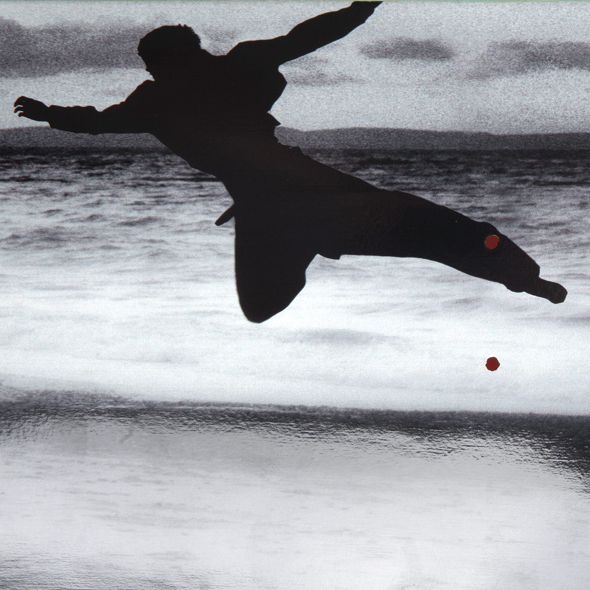 Polar Skate Co. Jamie Platt Jump 8.25"