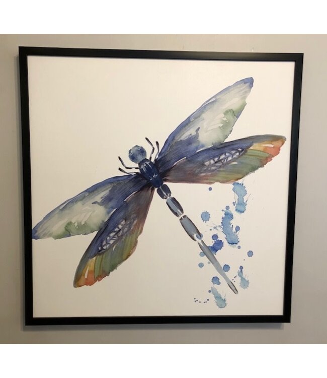 Dragonfly 1 36 x 36