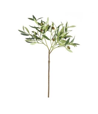 Olive Stem with Olives 19.5