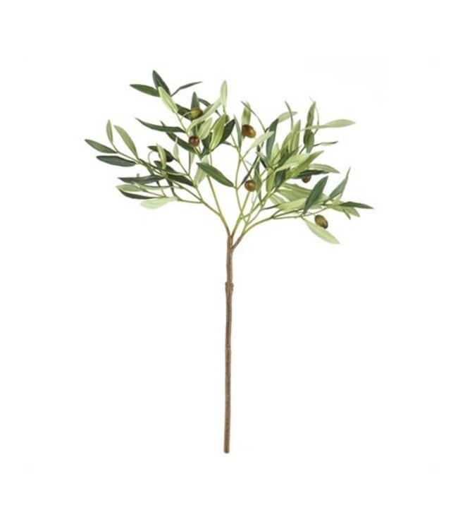 Olive Stem with Olives 22"