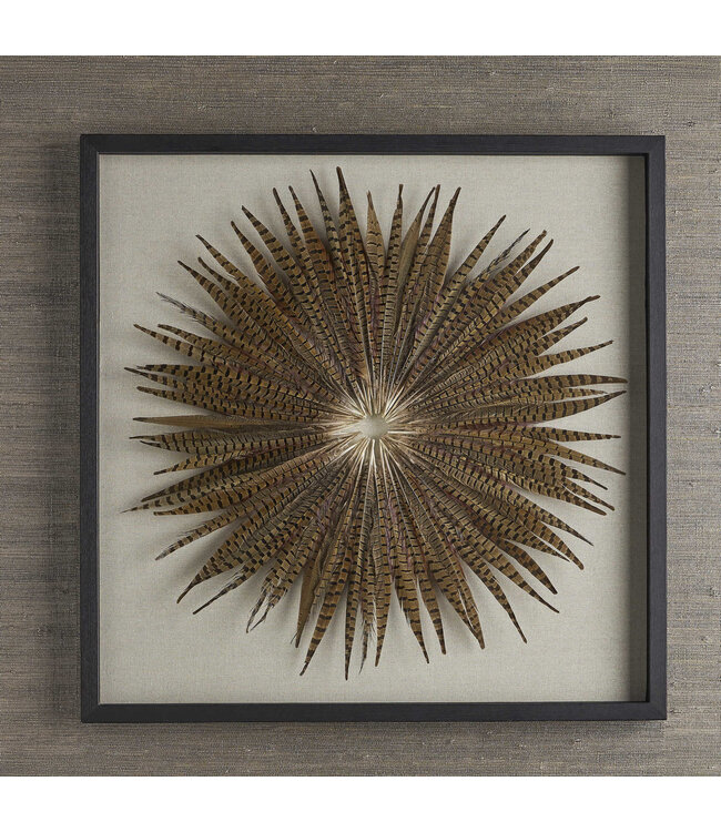 Feather Burst Shadow Box