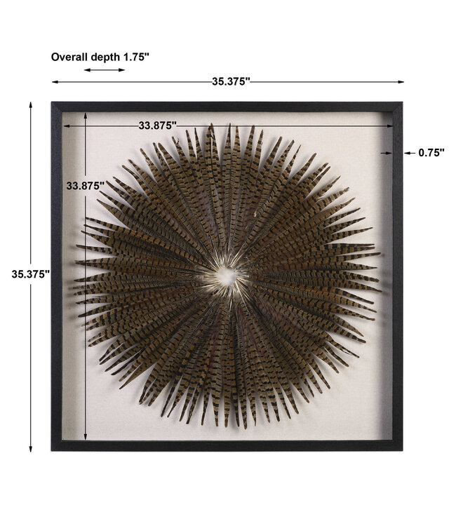 Feather Burst Shadow Box