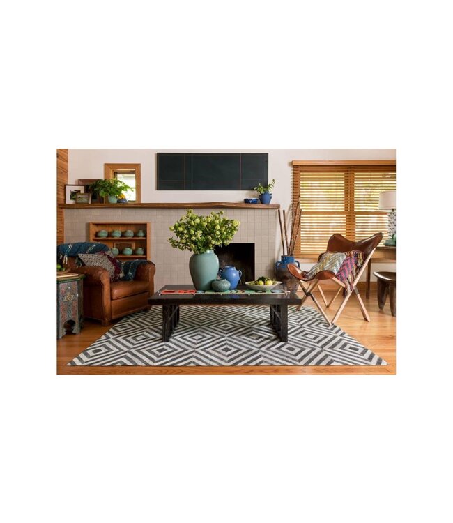 Loloi Rugs Dorado Charcoal/Ivory Collection