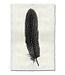 Feather Study #5 Print 9 x 14 (Pheasant)