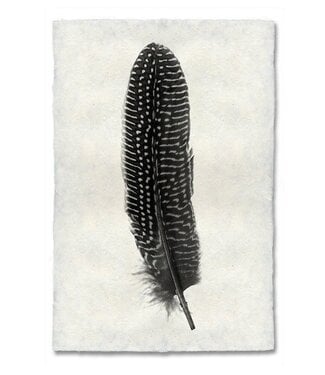 Feather Study #7 Print 9 x 14 (Owl)