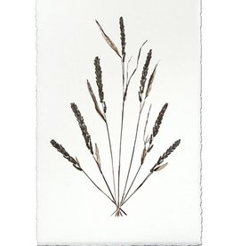 Grain Form 20 x 30 Print