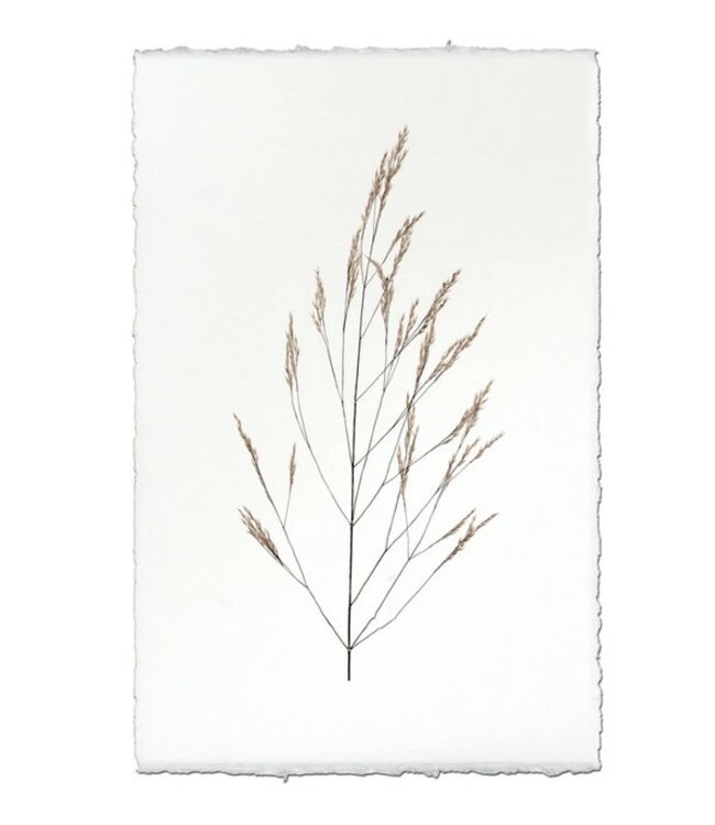 Wheat Form 20 x 30 Print - English Watercolor
