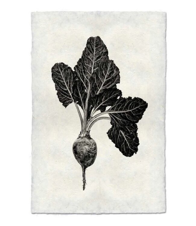 Red Beet 9 x 14 Print - Nepalese Handmade