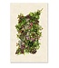 Collective Succulents Grand Format 40 x 60 - Sheet Rag Natuaral