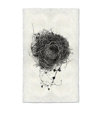 Nest Study #3 Print 9 x 14