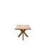 Demi 72" Rectangle Dining Table Natural