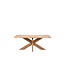 Demi 72" Rectangle Dining Table Natural